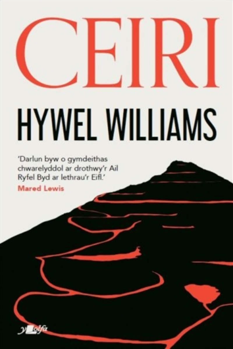 Ceiri/Product Detail/General Fiction Books
