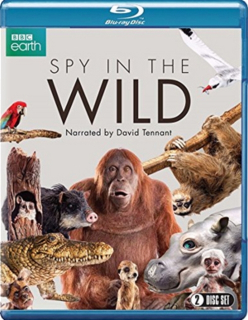 Spy In The Wild - Series 1/Product Detail/Documentary
