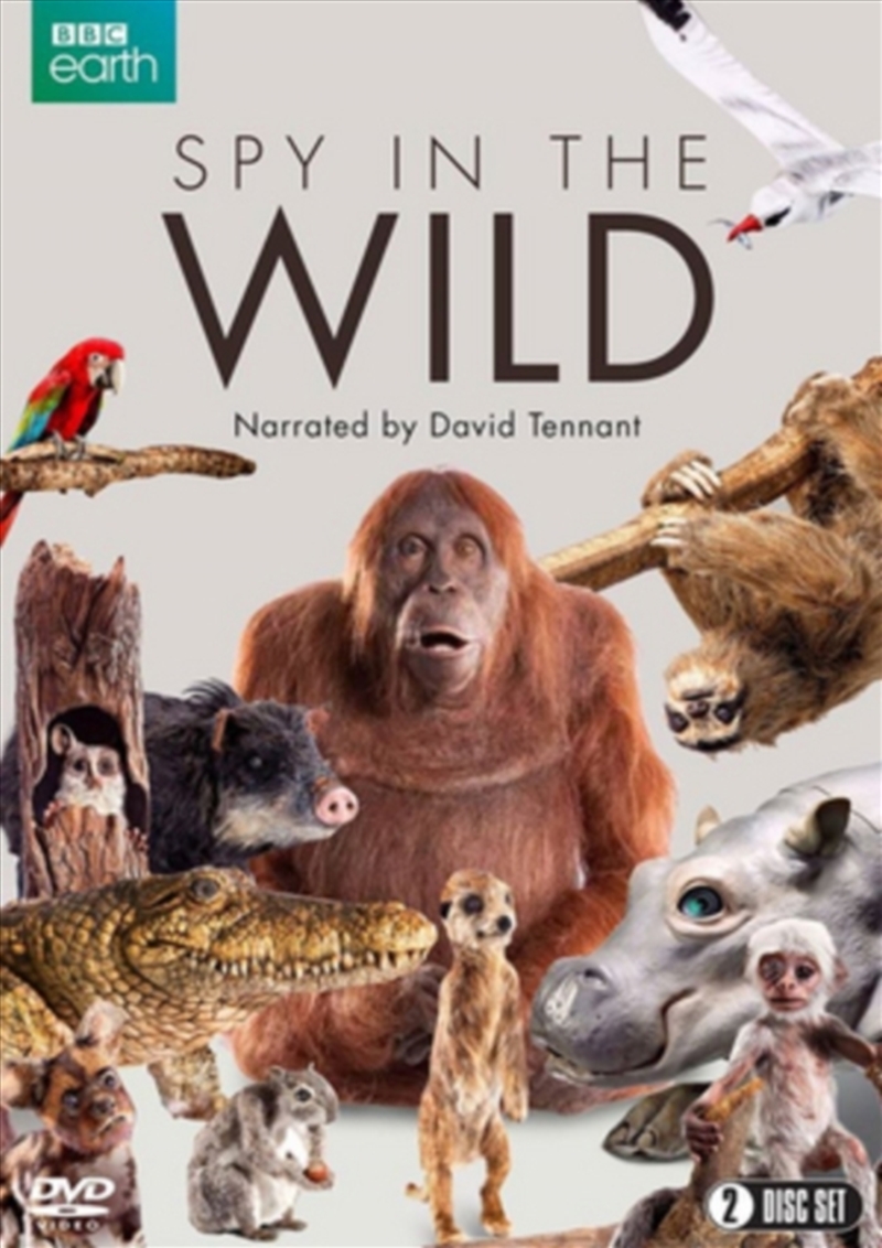 Spy In The Wild - Series 1 (REGION 2)/Product Detail/Documentary