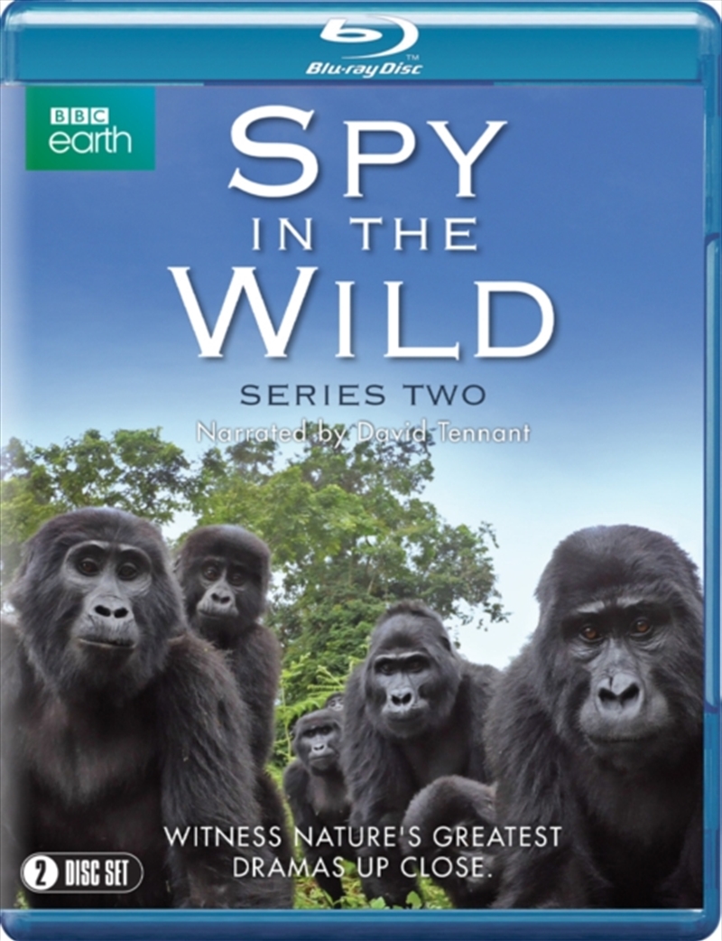 Spy in the Wild - Series 2/Product Detail/Documentary