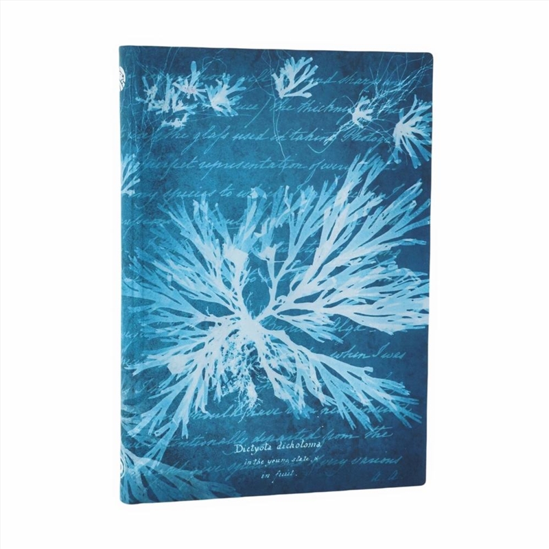 Sea Flowers (Anna Atkins  Cyanotypes) Midi Unlined Softcover Flexi Journal (Elastic Band Closure)/Product Detail/Stationery