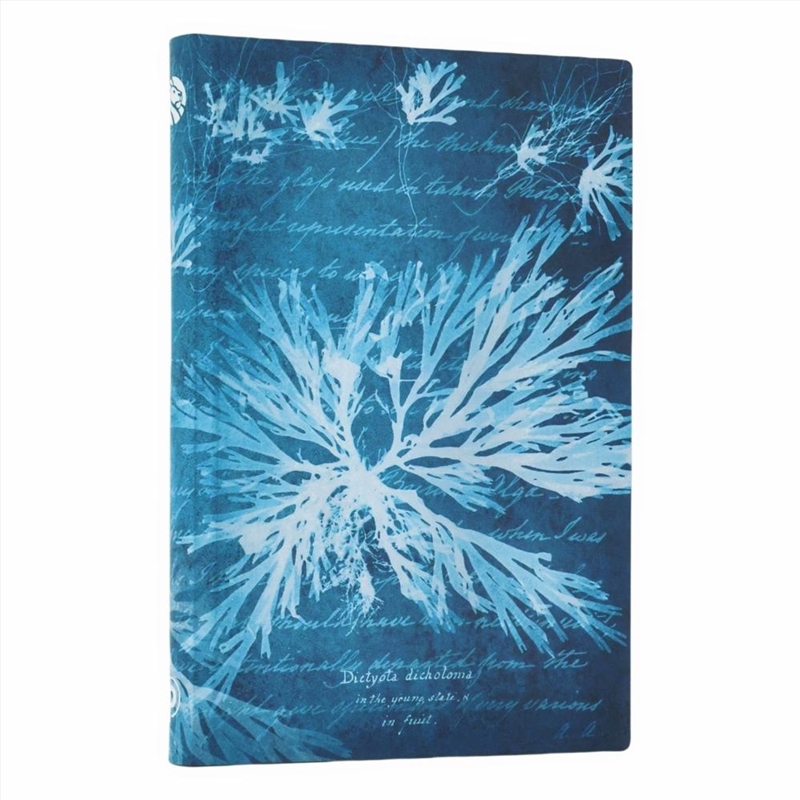 Sea Flowers (Anna Atkins  Cyanotypes) Mini Lined Softcover Flexi Journal (Elastic Band Closure)/Product Detail/Stationery