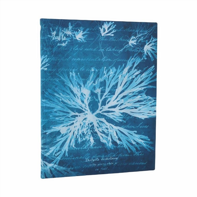 Sea Flowers (Anna Atkins  Cyanotypes) Ultra Lined Softcover Flexi Journal (Elastic Band Closure)/Product Detail/Stationery