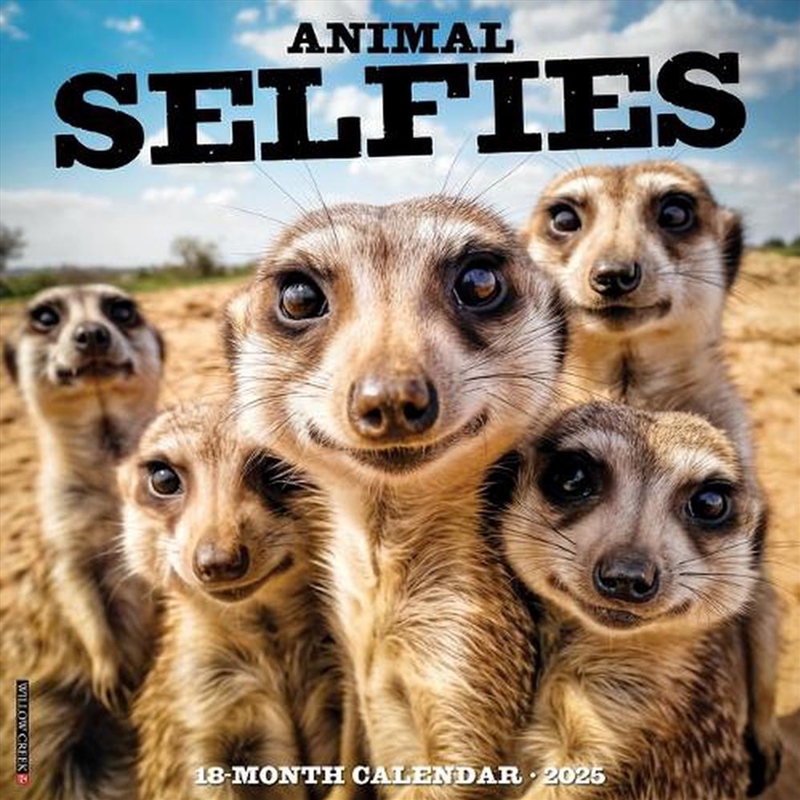 Animal Selfies 2026 12 X 12 Wall Calendar/Product Detail/Calendars & Diaries