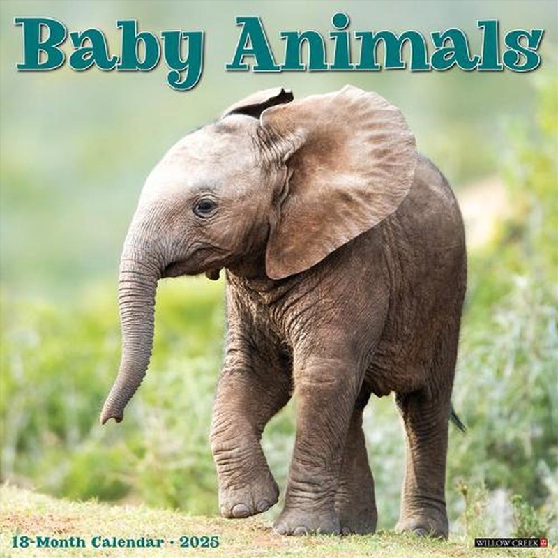 Baby Animals 2026 12 X 12 Wall Calendar/Product Detail/Calendars & Diaries