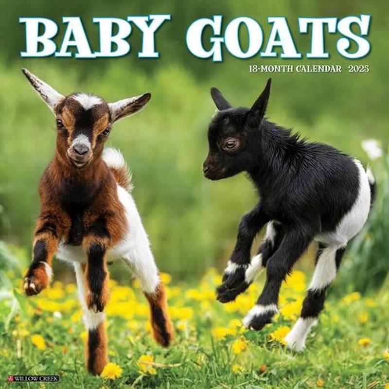 Baby Goats 2026 12 X 12 Wall Calendar/Product Detail/Calendars & Diaries