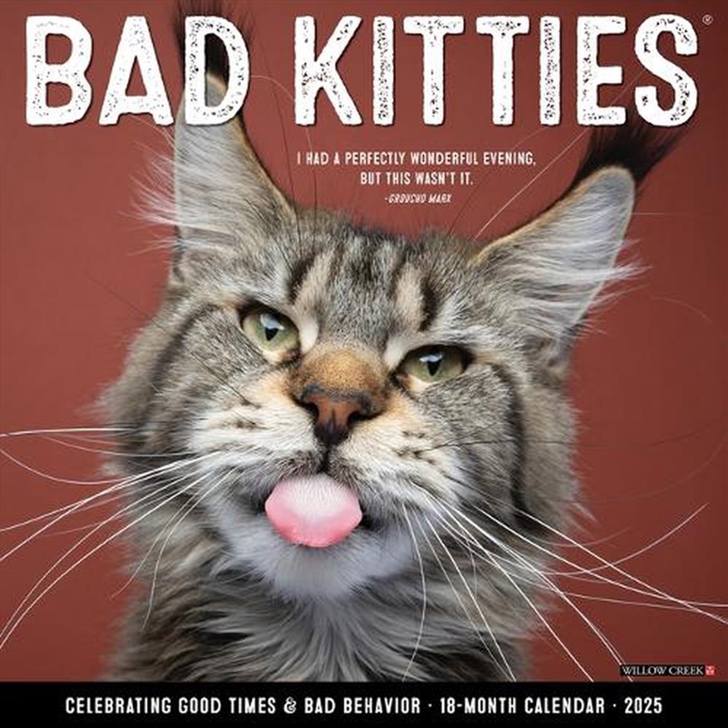Bad Kitties 2026 12 X 12 Wall Calendar/Product Detail/Calendars & Diaries