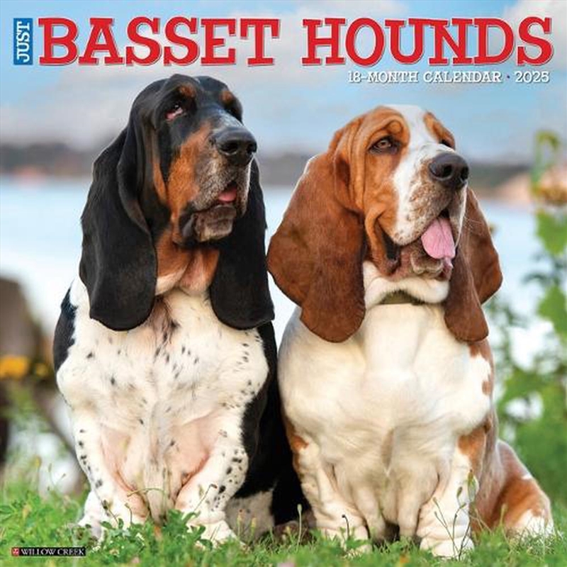 Basset Hounds 2026 12 X 12 Wall Calendar/Product Detail/Calendars & Diaries