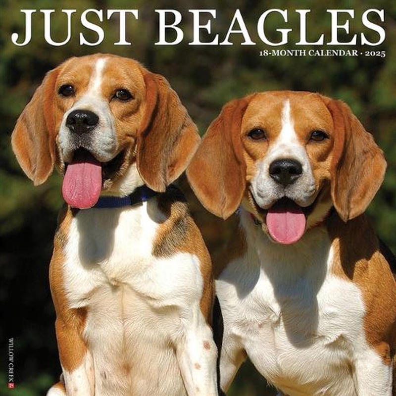 Beagles 2026 12 X 12 Wall Calendar/Product Detail/Calendars & Diaries