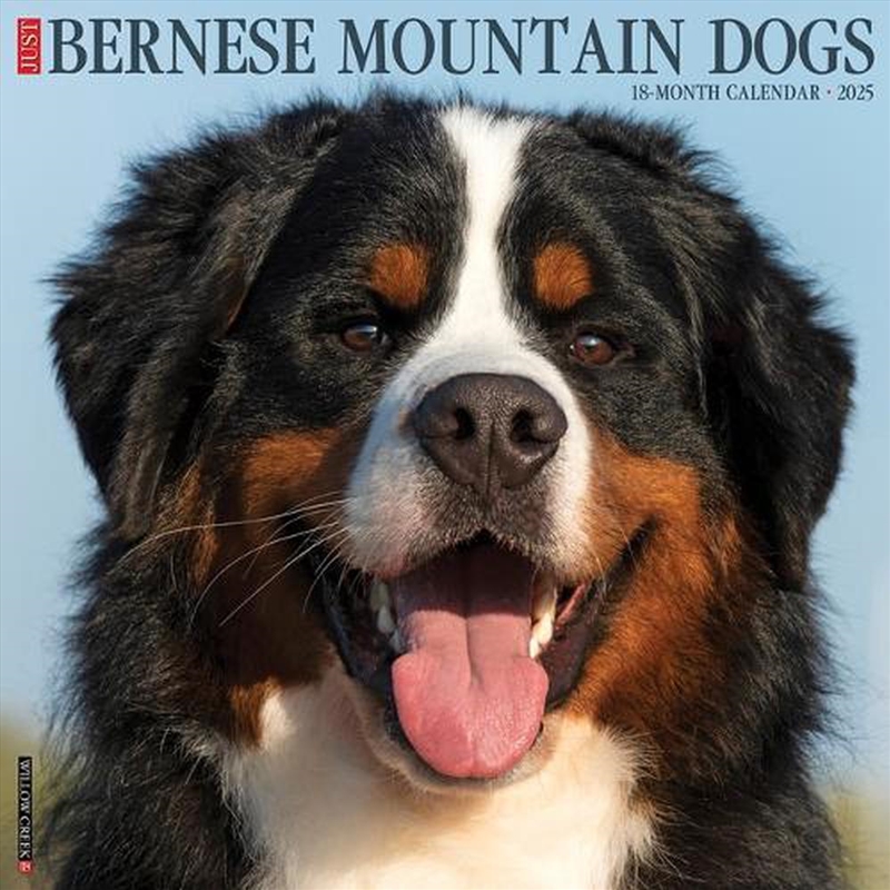 Bernese Mountain Dogs 2026 12 X 12 Wall Calendar/Product Detail/Calendars & Diaries