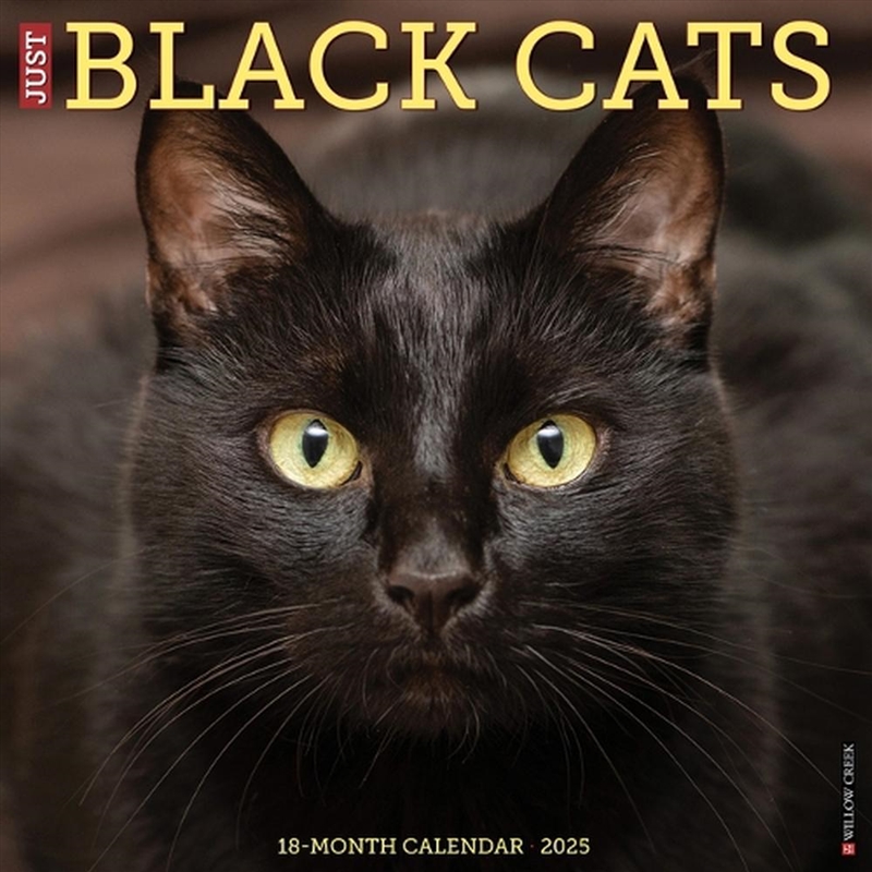 Black Cats 2026 12 X 12 Wall Calendar/Product Detail/Calendars & Diaries