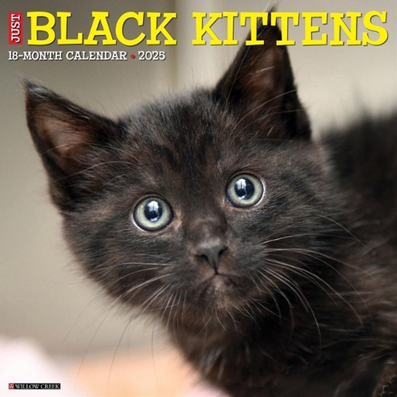 Black Kittens 2026 12 X 12 Wall Calendar/Product Detail/Calendars & Diaries