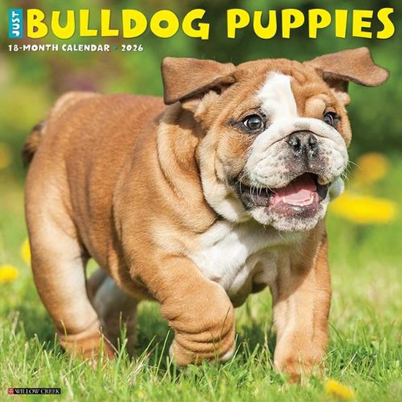 Bulldog Puppies 2026 12 X 12 Wall Calendar/Product Detail/Calendars & Diaries