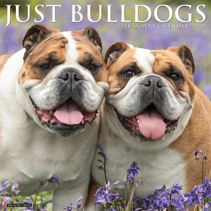 Bulldogs 2026 12 X 12 Wall Calendar/Product Detail/Calendars & Diaries