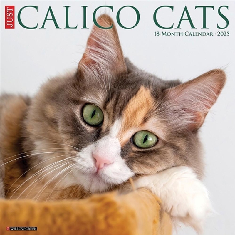 Calico Cats 2026 12 X 12 Wall Calendar/Product Detail/Calendars & Diaries