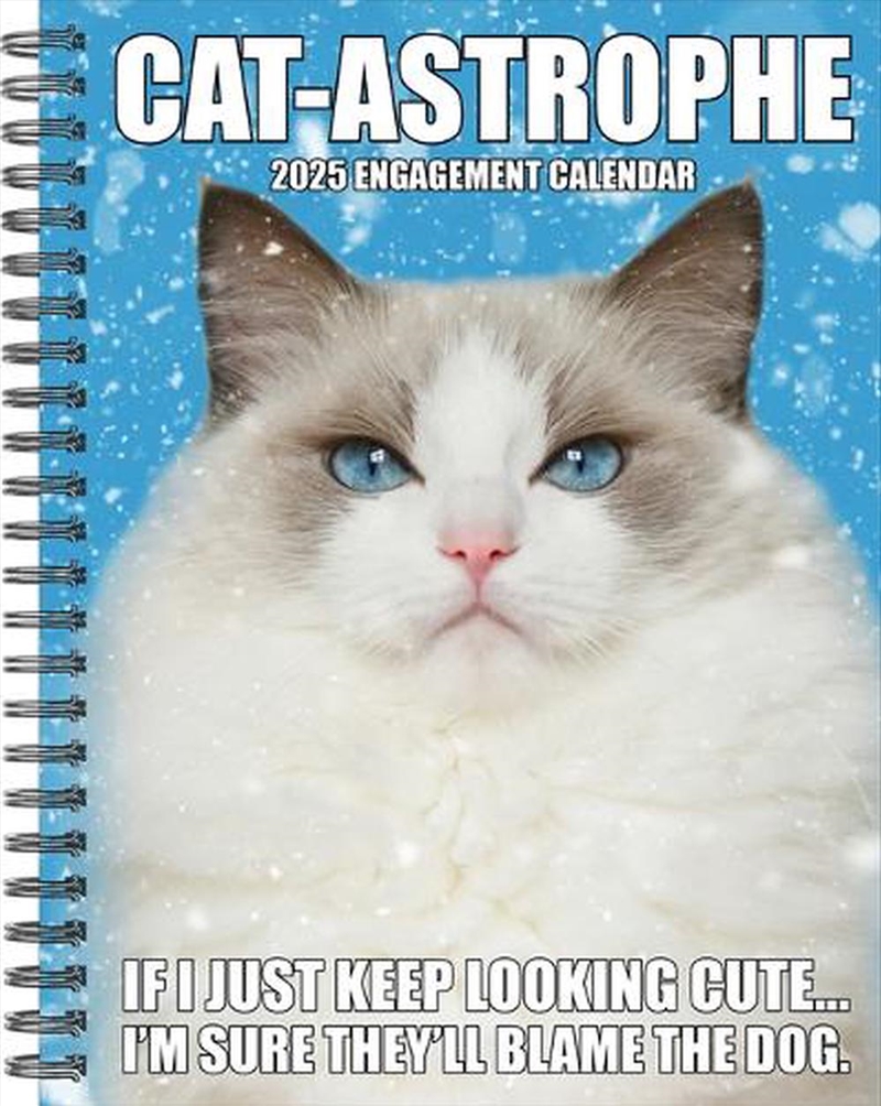 Cat-Astrophe 2026 6.5 X 8.5 Engagement Calendar/Product Detail/Calendars & Diaries