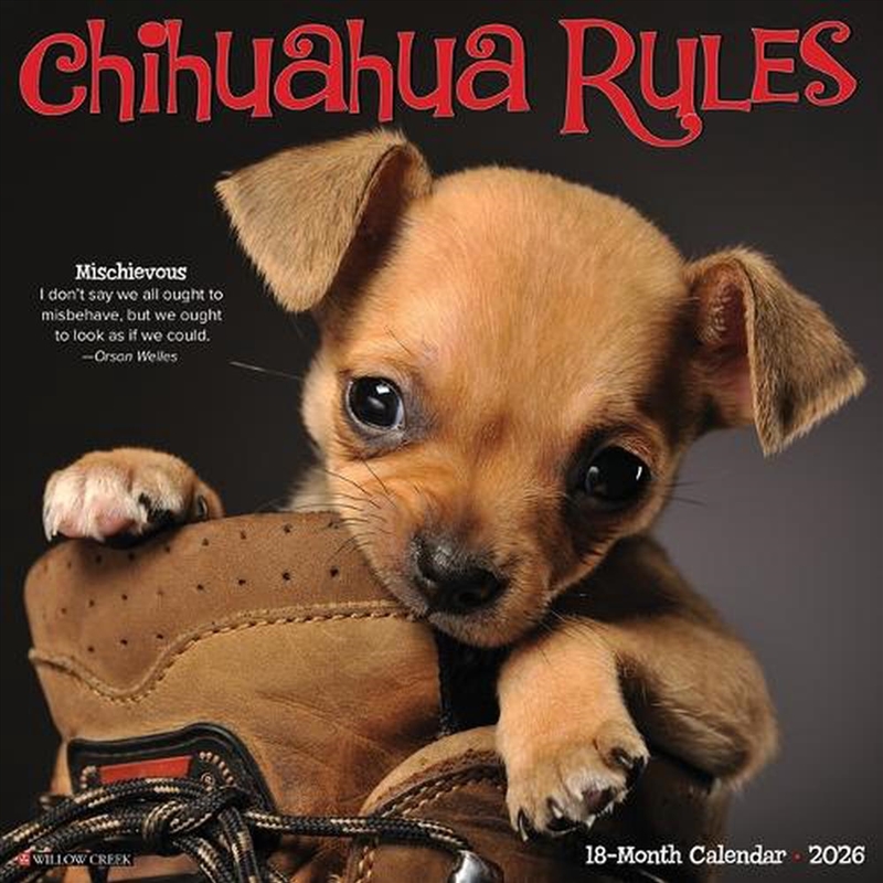 Chihuahua Rules 2026 12 X 12 Wall Calendar/Product Detail/Calendars & Diaries