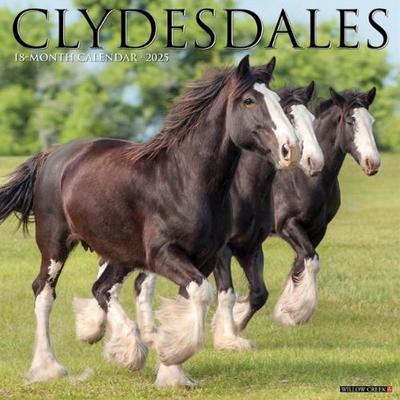 Clydesdales 2026 12 X 12 Wall Calendar/Product Detail/Calendars & Diaries
