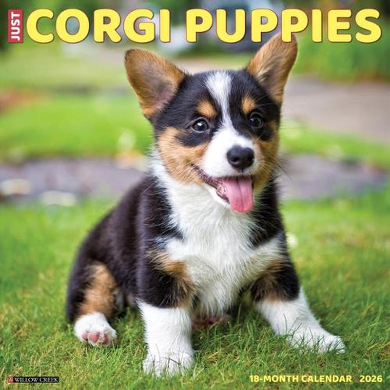 Corgi Puppies 2026 12 X 12 Wall Calendar/Product Detail/Calendars & Diaries