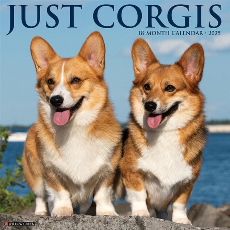 Corgis 2026 12 X 12 Wall Calendar/Product Detail/Calendars & Diaries