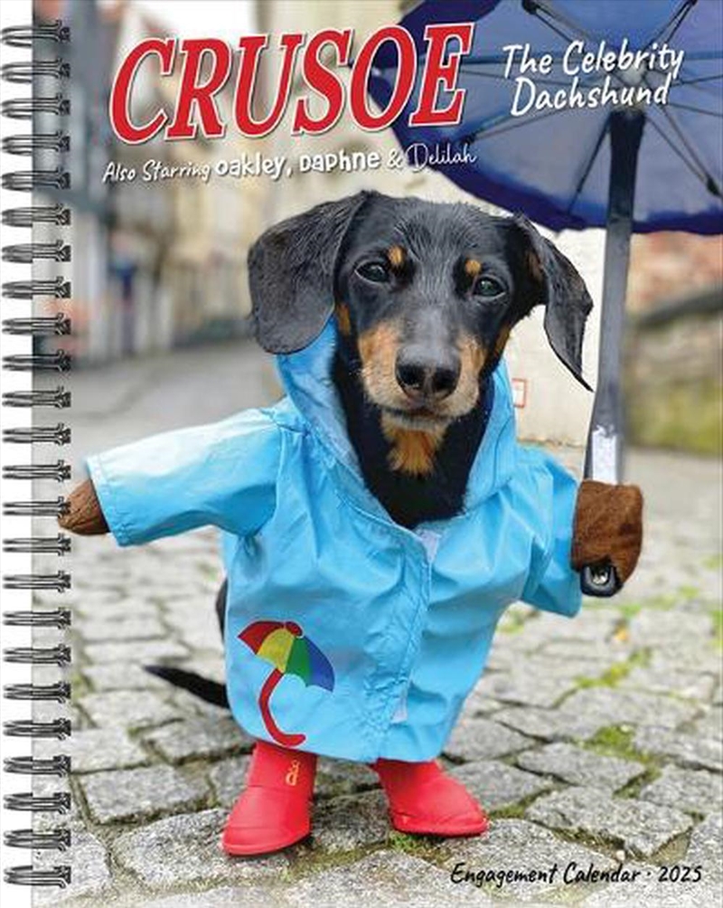 Crusoe The Celebrity Dachshund 2026 6.5 X 8.5 Engagement Calendar/Product Detail/Calendars & Diaries