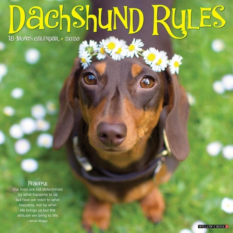Dachshund Rules 2026 12 X 12 Wall Calendar/Product Detail/Calendars & Diaries