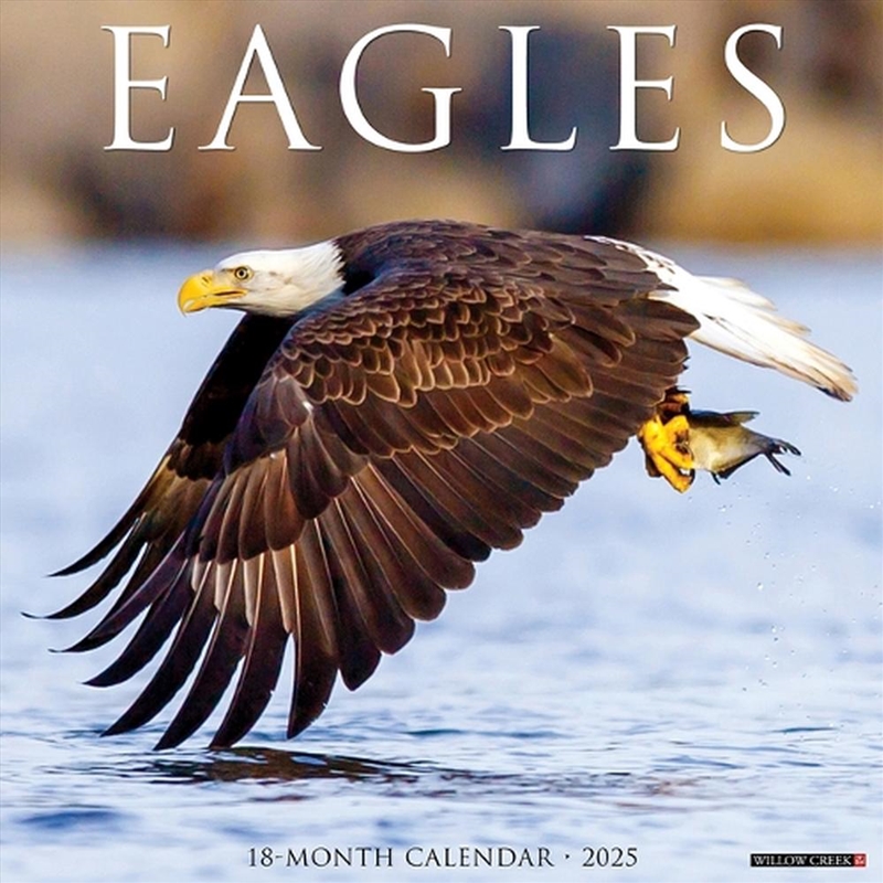 Eagles 2026 12 X 12 Wall Calendar/Product Detail/Calendars & Diaries