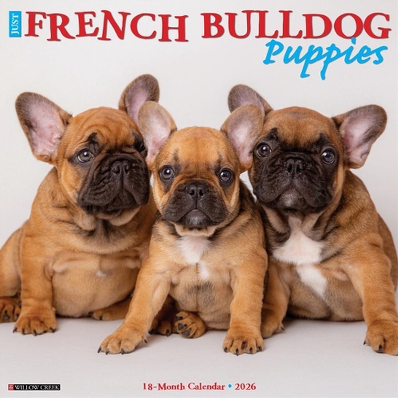 French Bulldog Puppies 2026 12 X 12 Wall Calendar/Product Detail/Calendars & Diaries