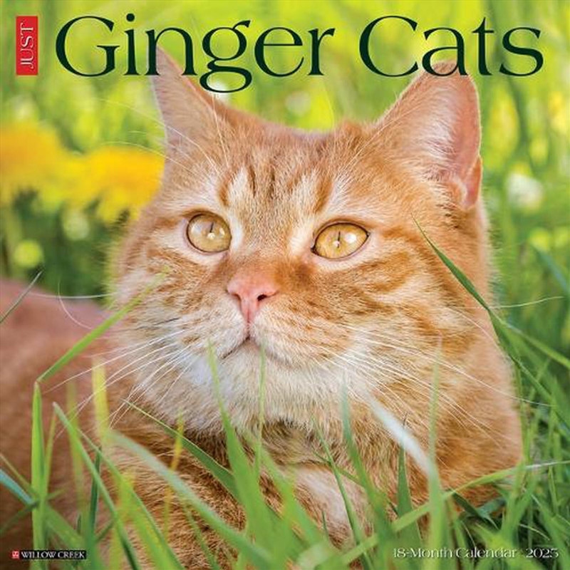 Ginger Cats 2026 12 X 12 Wall Calendar/Product Detail/Calendars & Diaries
