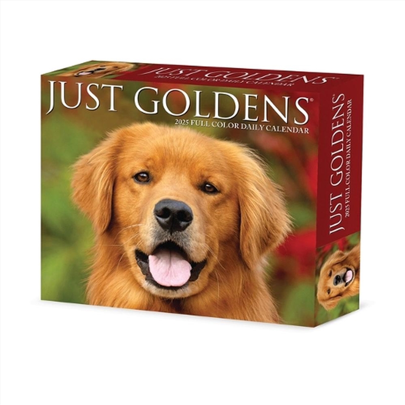 Goldens 2026 5.4 X 6.2 Box Calendar/Product Detail/Calendars & Diaries