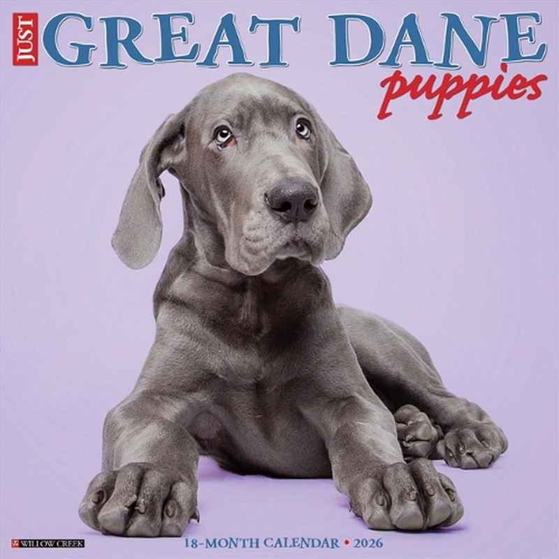 Great Dane Puppies 2026 12 X 12 Wall Calendar/Product Detail/Calendars & Diaries