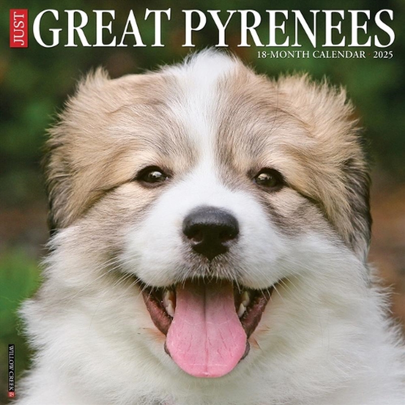 Great Pyrenees 2026 12 X 12 Wall Calendar/Product Detail/Calendars & Diaries