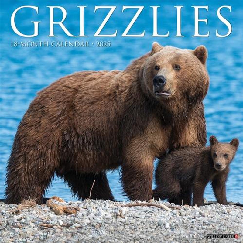 Grizzlies 2026 12 X 12 Wall Calendar/Product Detail/Calendars & Diaries