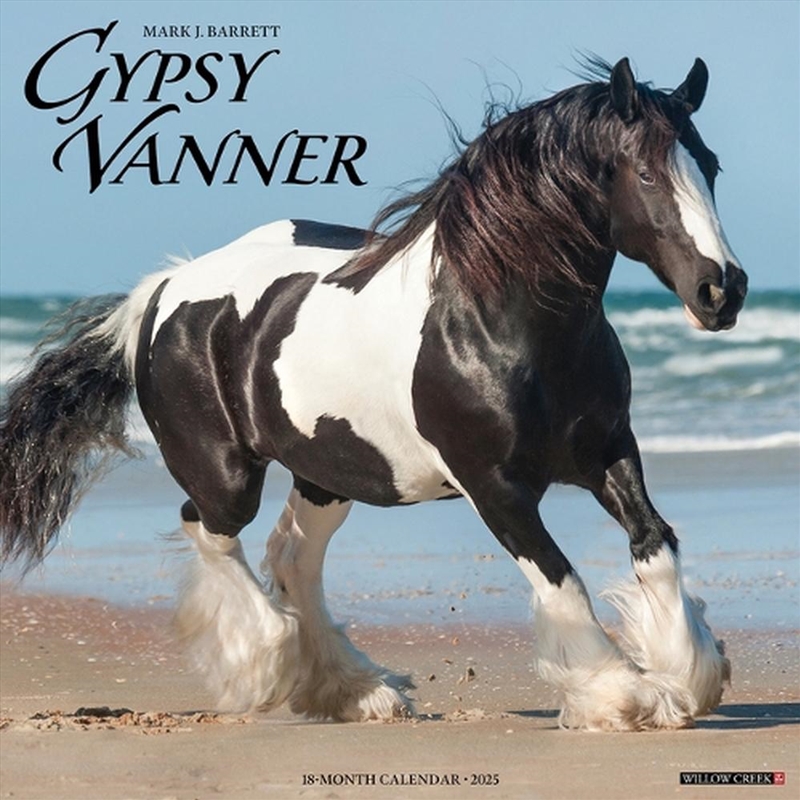 Gypsy Vanner Horse 2026 12 X 12 Wall Calendar/Product Detail/Calendars & Diaries