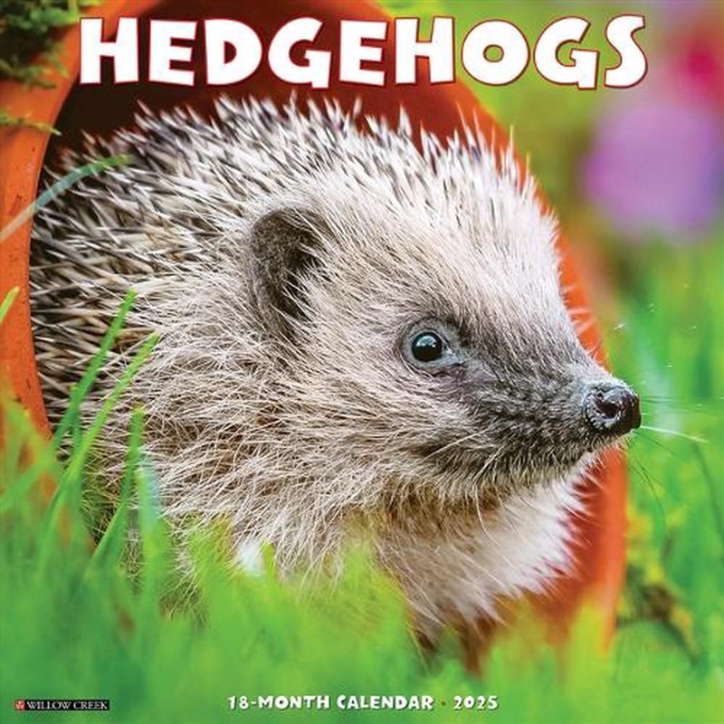 Hedgehogs 2026 12 X 12 Wall Calendar/Product Detail/Calendars & Diaries