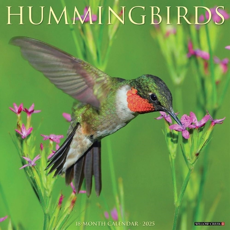 Hummingbirds 2026 12 X 12 Wall Calendar/Product Detail/Calendars & Diaries