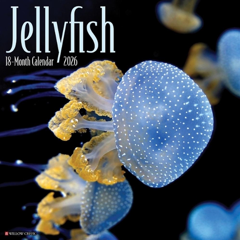 Jellyfish 12 X 12 Wall Calendar/Product Detail/Calendars & Diaries