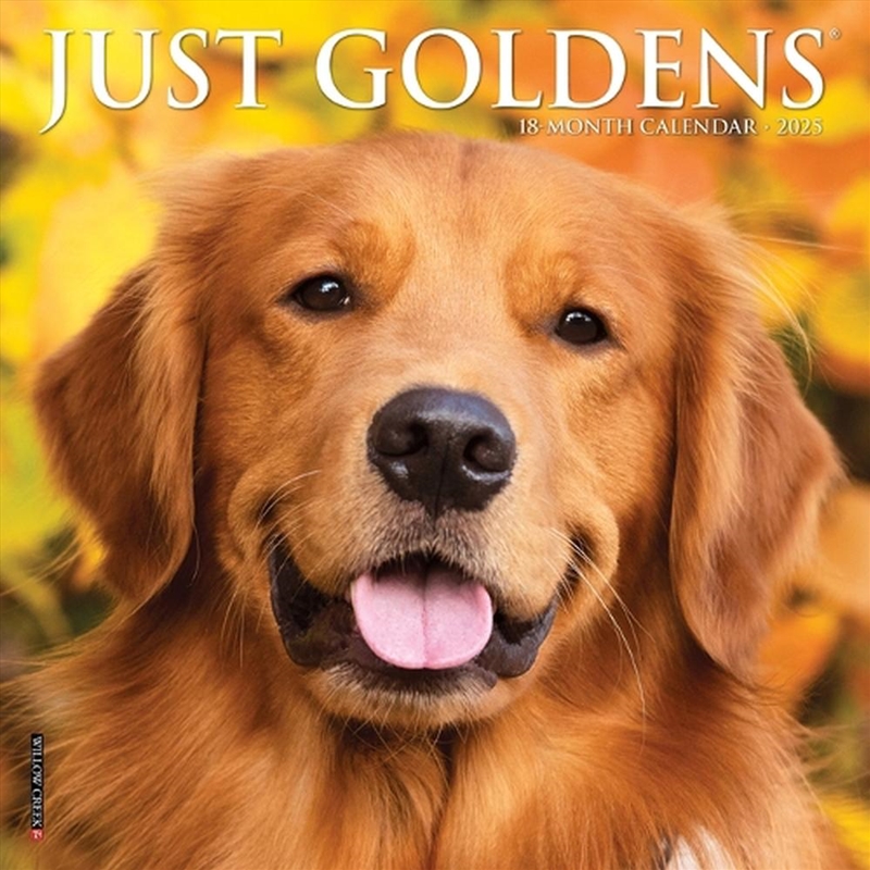 Just Goldens 2026 7 X 7 Mini Wall Calendar/Product Detail/Calendars & Diaries