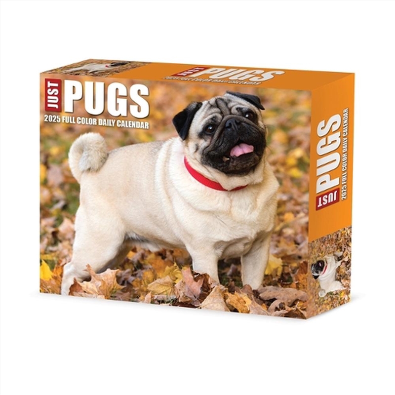 Just Pugs 2026 5.4 X 6.2 Box Calendar/Product Detail/Calendars & Diaries