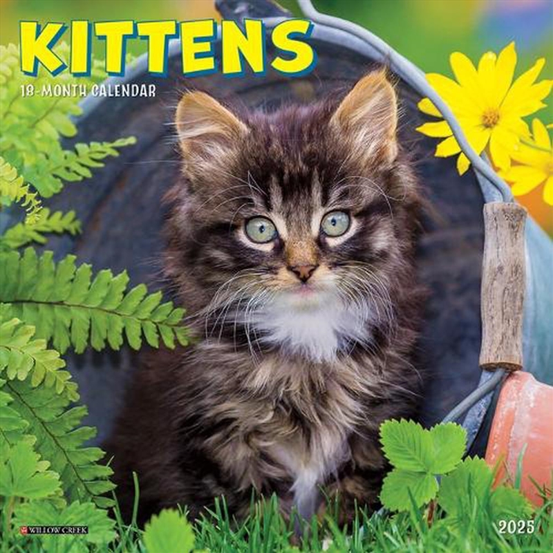 Kittens 2026 7 X 7 Mini Wall Calendar/Product Detail/Calendars & Diaries