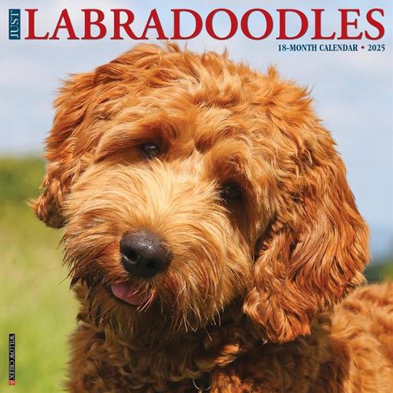 Labradoodles 2026 12 X 12 Wall Calendar/Product Detail/Calendars & Diaries