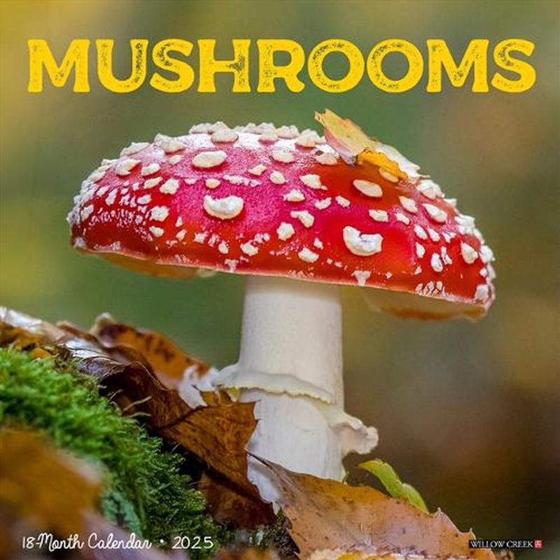 Mushrooms 2026 12 X 12 Wall Calendar/Product Detail/Calendars & Diaries