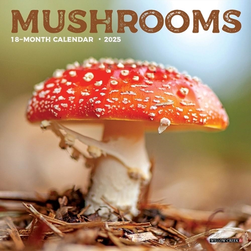 Mushrooms 2026 7 X 7 Mini Wall Calendar/Product Detail/Calendars & Diaries