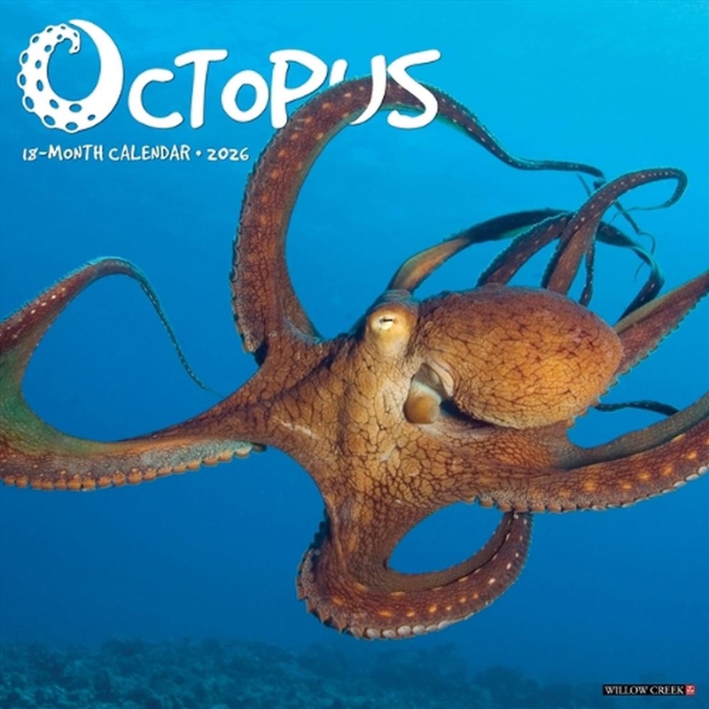 Octopus 12 X 12 Wall Calendar/Product Detail/Calendars & Diaries
