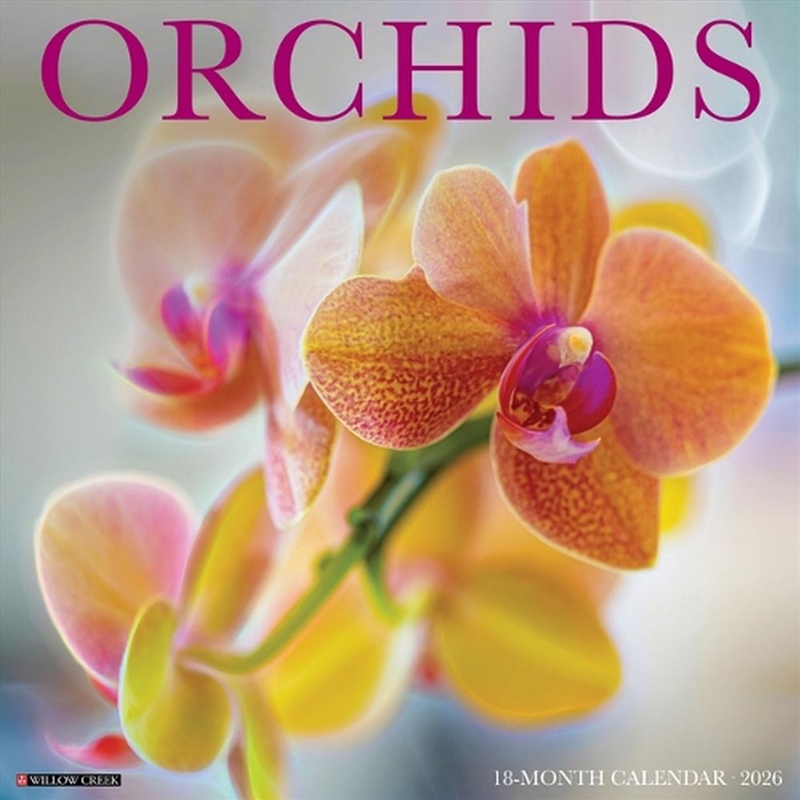Orchids 12 X 12 Wall Calendar/Product Detail/Calendars & Diaries
