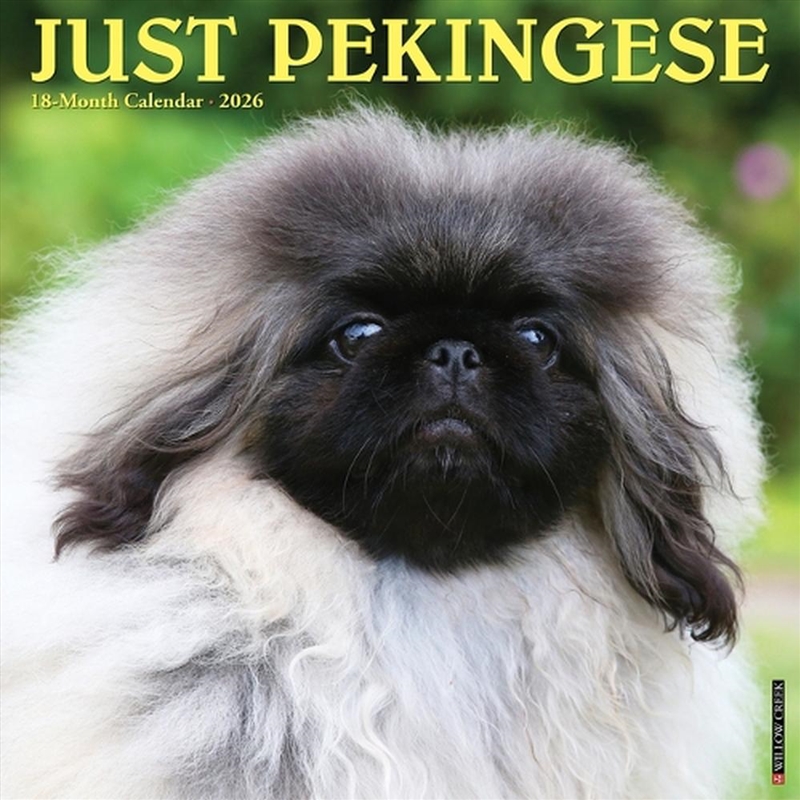 Pekingese 2026 12 X 12 Wall Calendar/Product Detail/Calendars & Diaries
