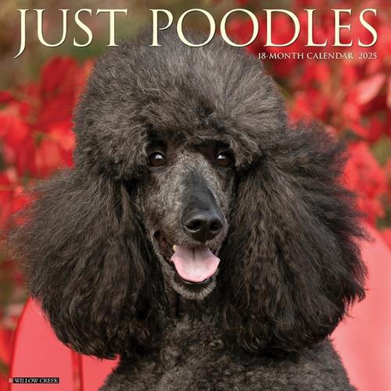 Poodles 2026 12 X 12 Wall Calendar/Product Detail/Calendars & Diaries