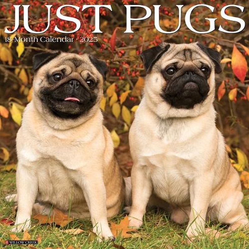 Pugs 2026 12 X 12 Wall Calendar/Product Detail/Calendars & Diaries