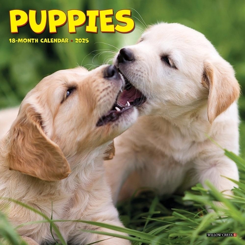 Puppies 2026 7 X 7 Mini Wall Calendar/Product Detail/Calendars & Diaries