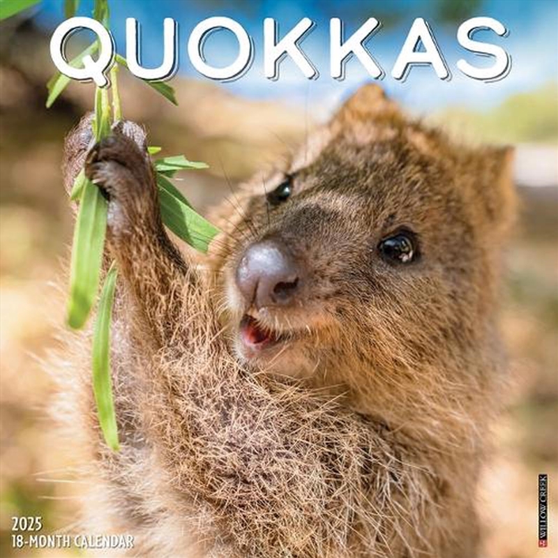 Quokkas 2026 12 X 12 Wall Calendar/Product Detail/Calendars & Diaries
